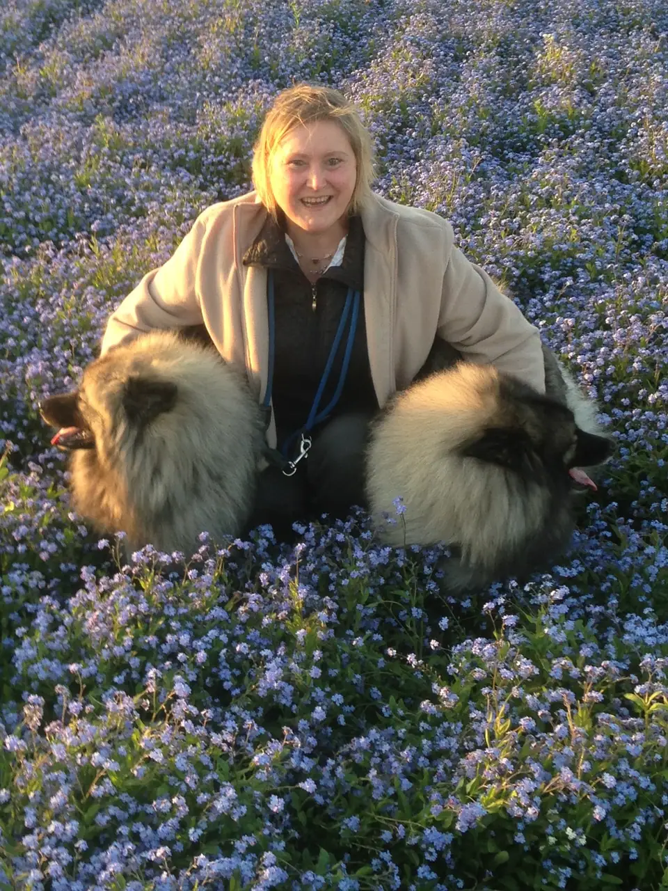 Renate kniet mit zwei Wolfsspitzen in einem Feld voller Vergissmeinnicht