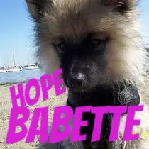 hope-babette.jimdo.com