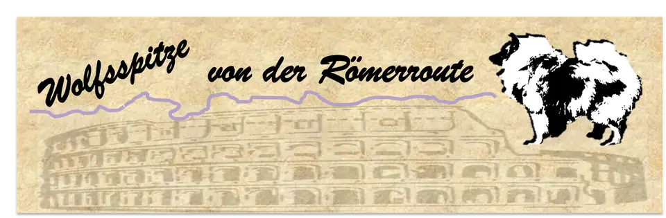 Banner Wolfsspitze von der Römerroute