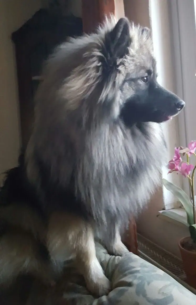 Inara-Hanni von der Römerroute