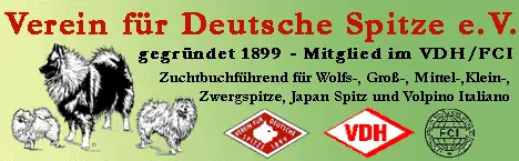 deutsche-spitze.de