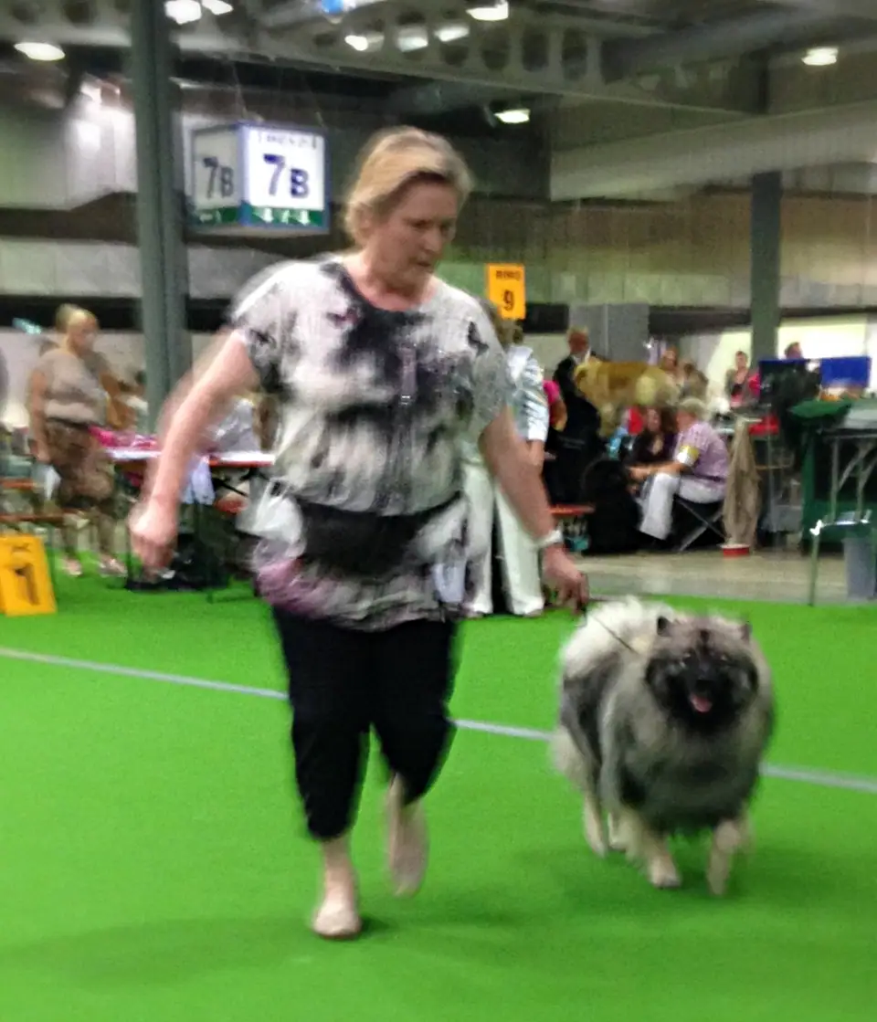 Inara-Hanni mit Renate bei der Ausstellung in Luxemburg am 10. September 2016