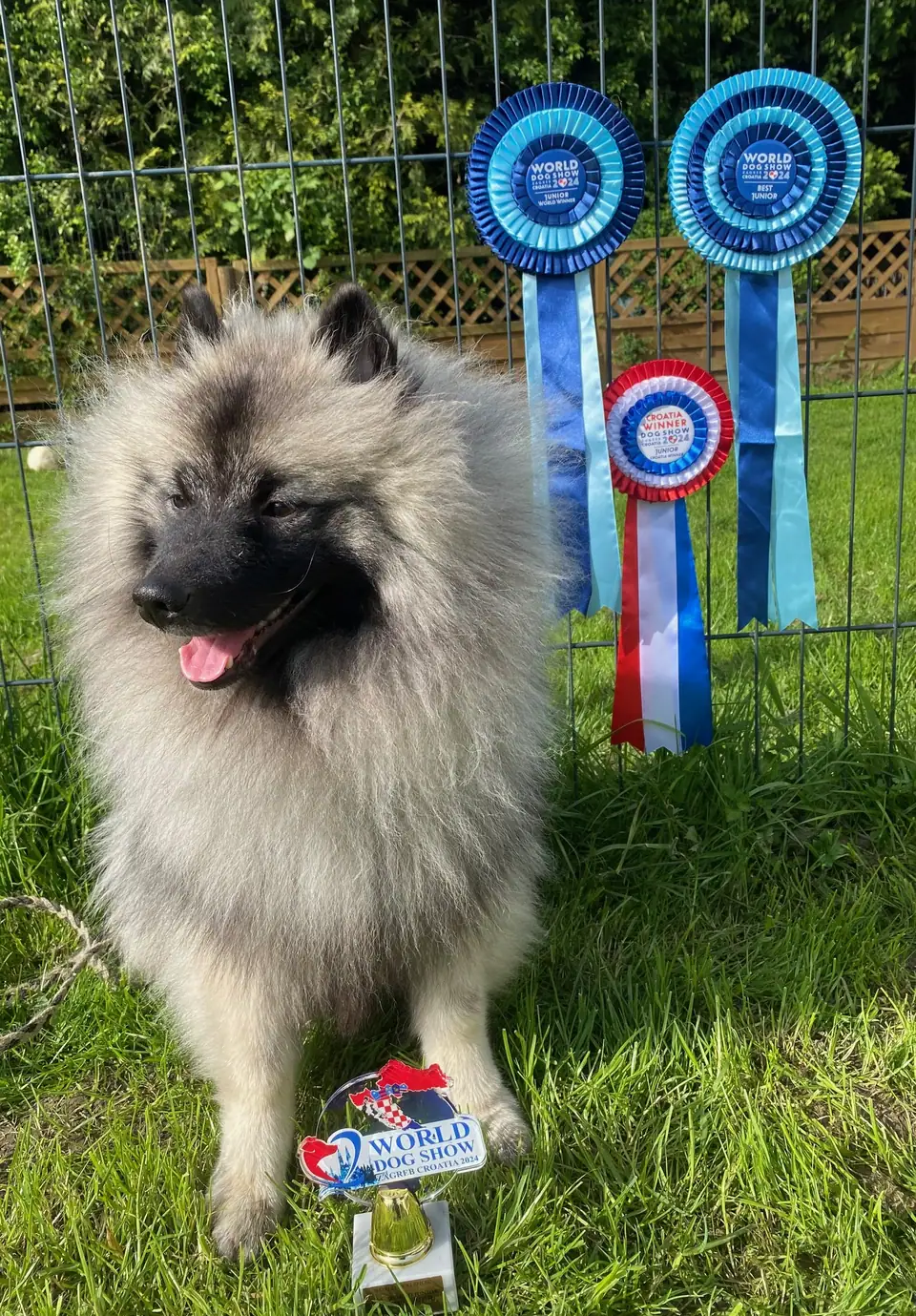 Shari in Zagreb 2024