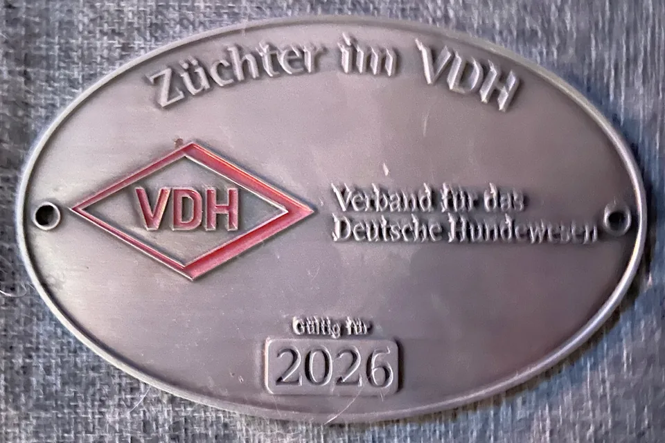 Schild Züchter im VDH, gültig für 2026