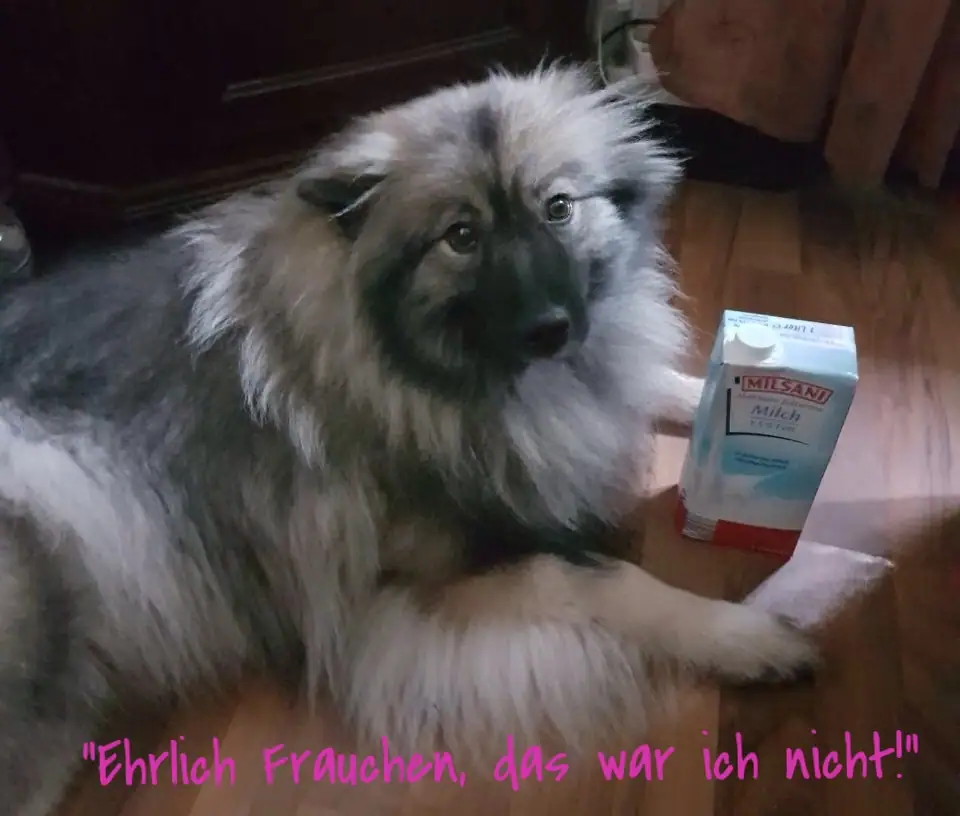 Inara-Hanni von der Römerroute