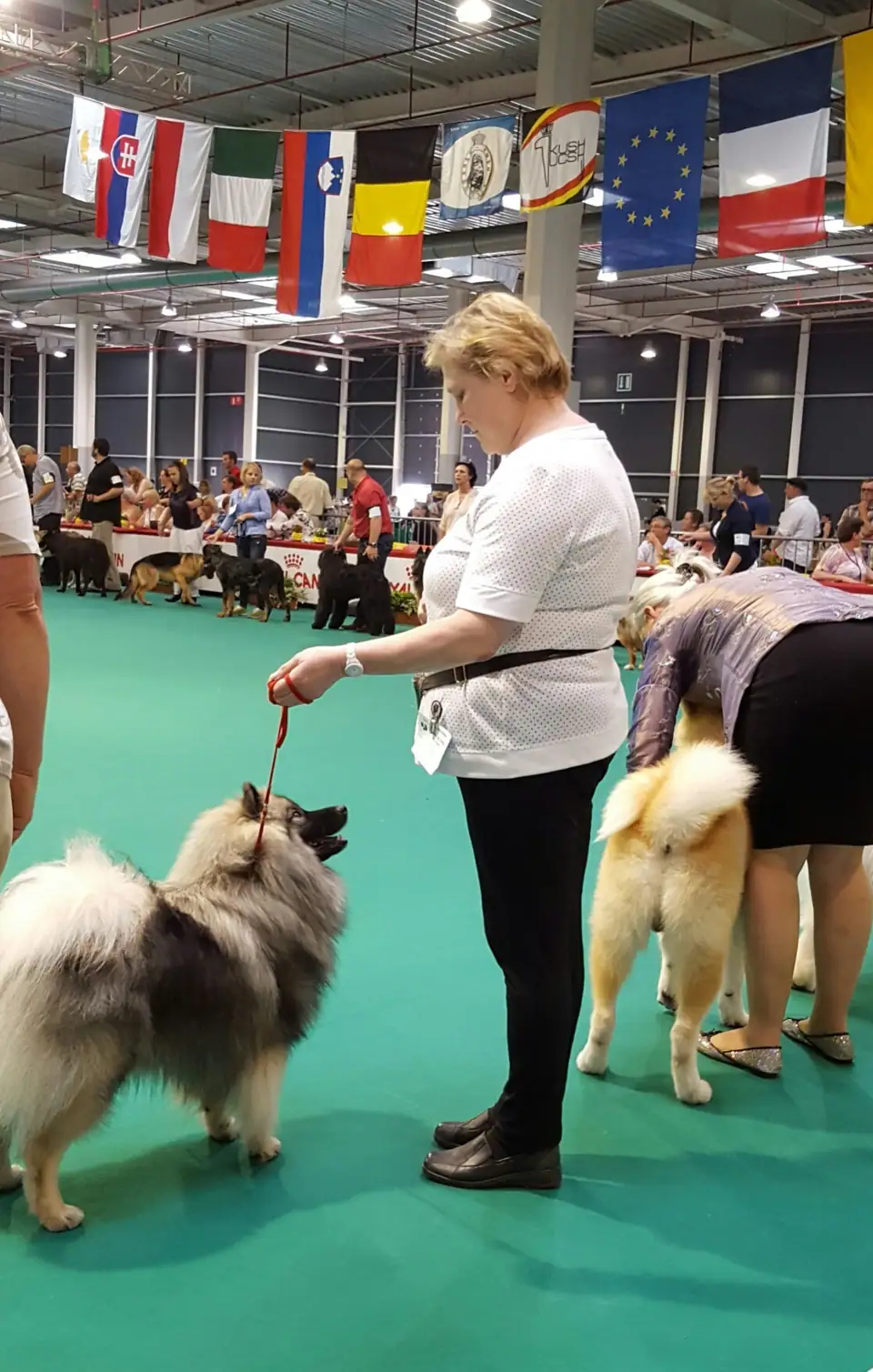 Renate mit Inara-Hanni im Ehrenring in Lüttich 2016