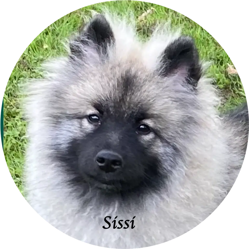 Porträt von Sissi
