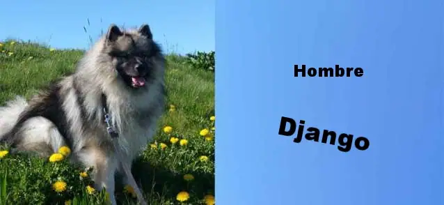 hombre-django.de